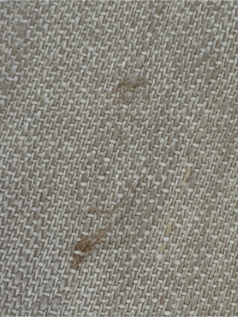 Williams Sonoma Neutral Beige Damask Cotton-Linen Table Linen - Picture 10 of 12